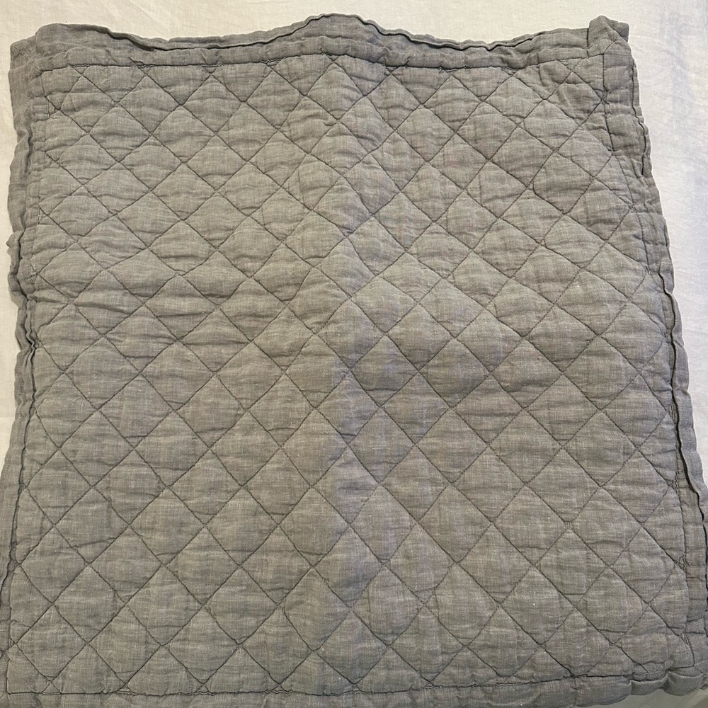 Pottery Barn Euro Sham-3 available